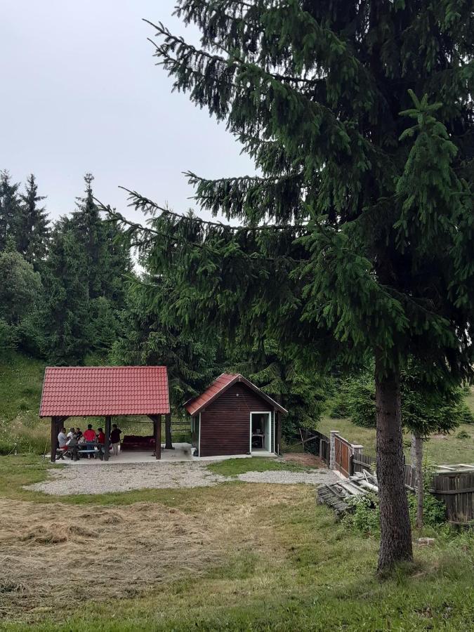 Hajnal Vendeghaz Otel Capilnita Dış mekan fotoğraf