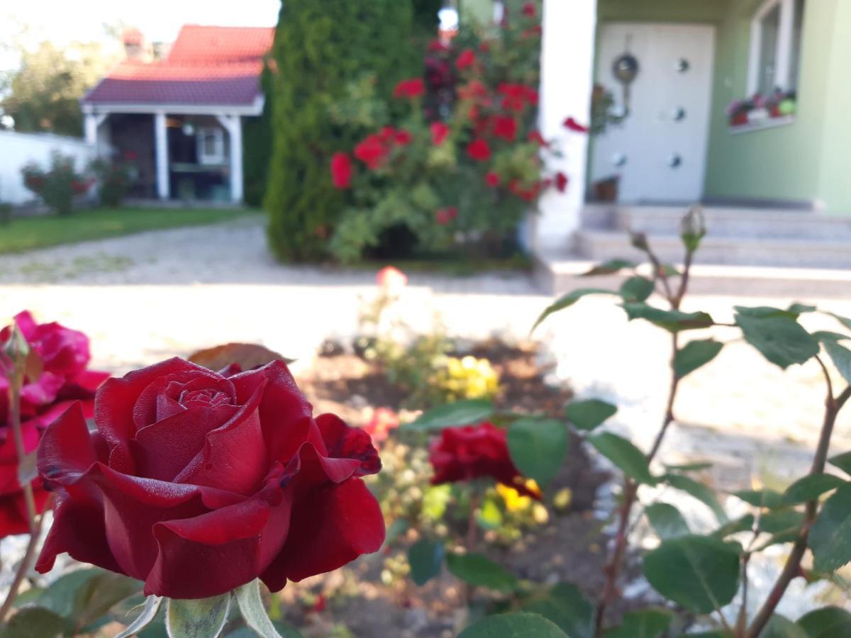 Hajnal Vendeghaz Otel Capilnita Dış mekan fotoğraf